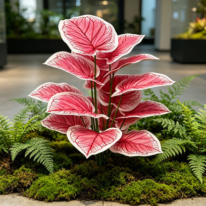 30" Faux Blush Pink Heart Caladium