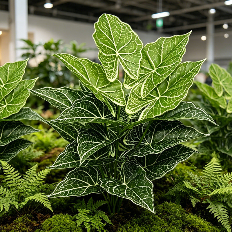 30" Faux Two-Tone Green White Net Vein Caladium