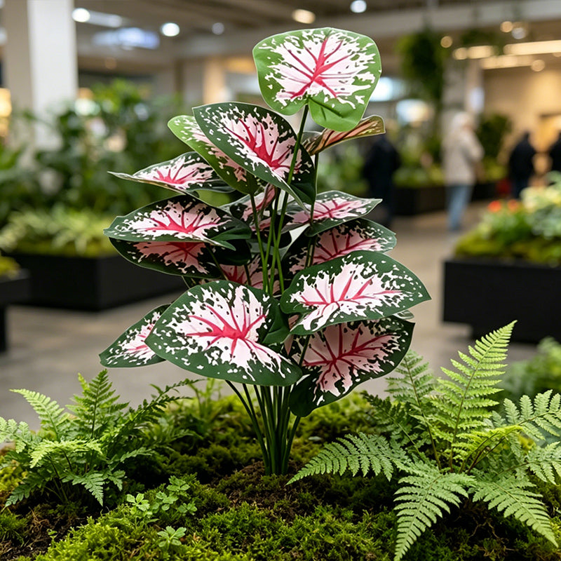 30" Faux Red Vein White Speckled Caladium
