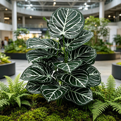 30" Faux Dark Green White Vein Caladium