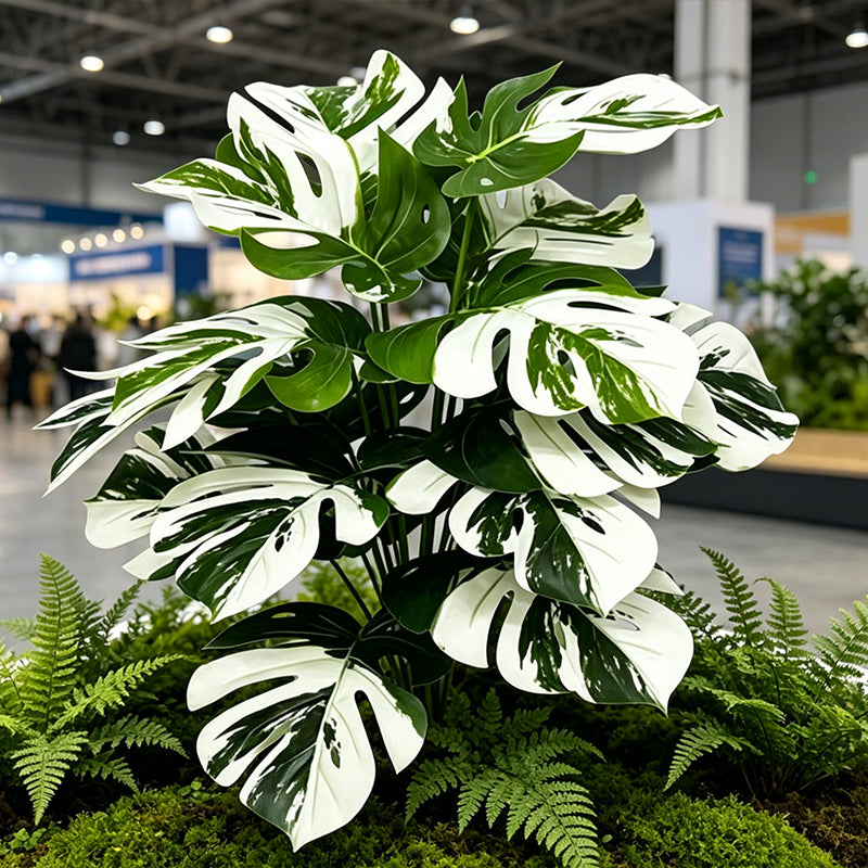 30" Faux White Green Variegated Monstera