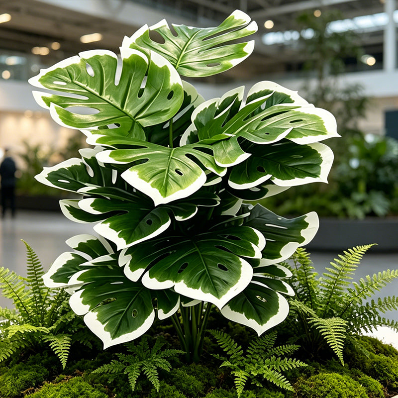 30" Faux White Edge Monstera Deliciosa Plant