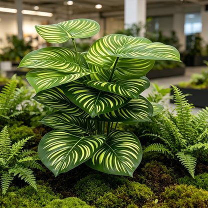 30" Faux Light Green Striped Calathea Orbifolia