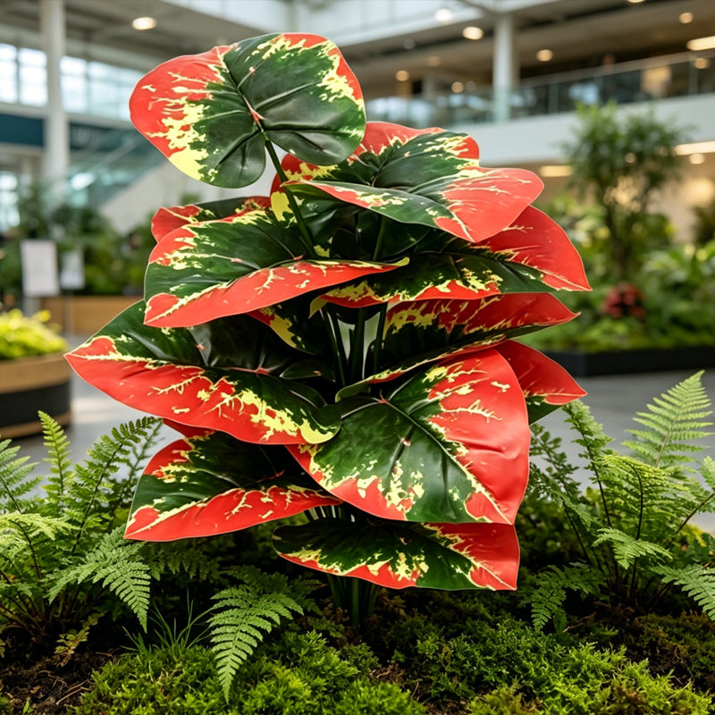 30" Faux Red Green Yellow Tri-Color Caladium