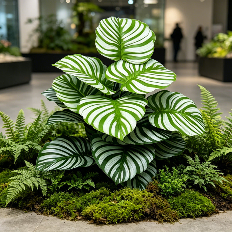30" Faux Green White Parallel Striped Calathea