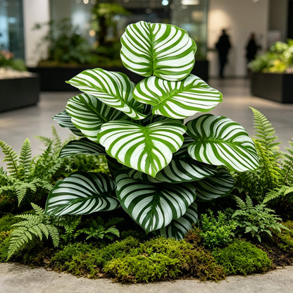 30" Faux Green White Parallel Striped Calathea
