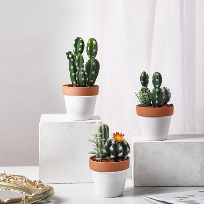 Mini Faux Cereus Cactus