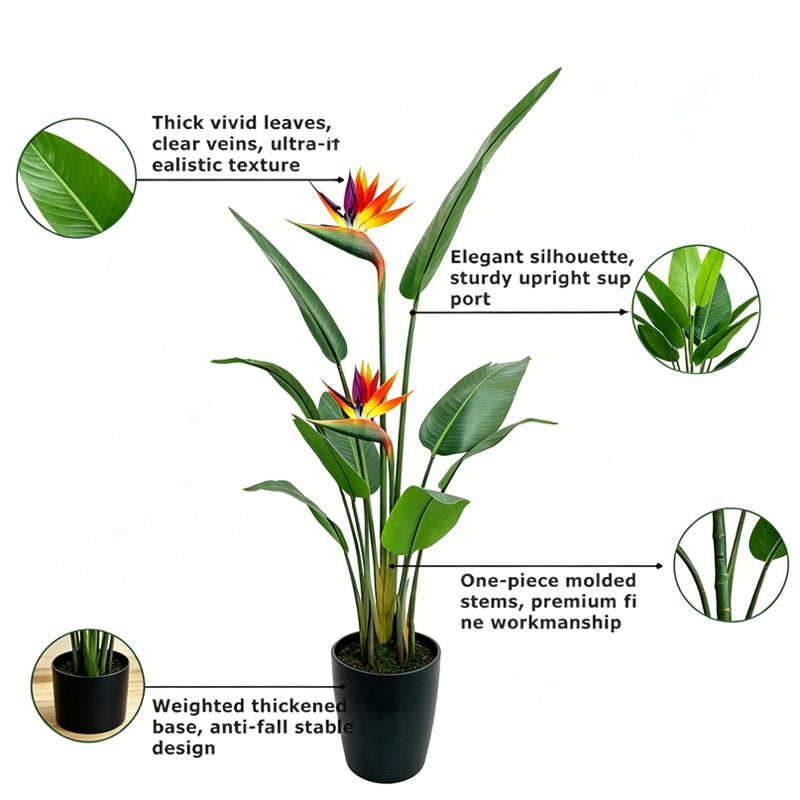 6' Bird of Paradise With 1 Flower