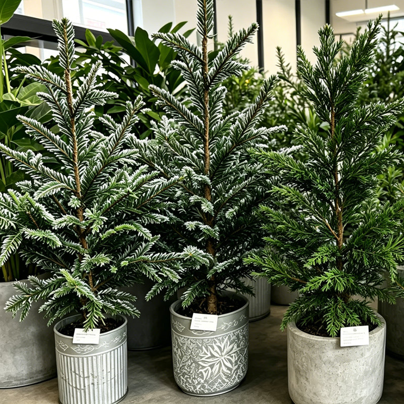 33" Faux Basic Mini Christmas Tree (No Snow Flocking)