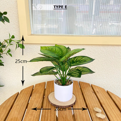 Tabletop Faux Monstera